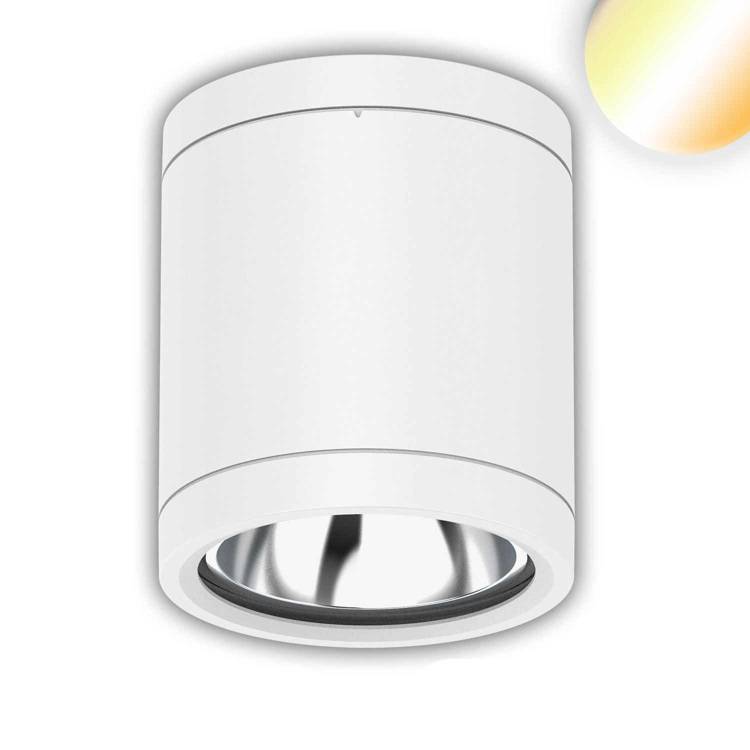 Spot plafonnier apparent à LED IP65, blanc, 10W, ColorSwitch 3000|4000|5000K, à intensité variable