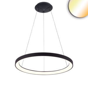 Luminaire suspendue LED Orbit 580, noir, 48W, rond, ColorSwitch 3000|3500|4000K, dimmable