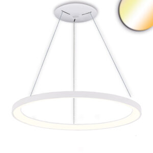 Luminaire suspendu LED Orbit 780, blanc, 60W, rond, ColorSwitch 3000|3500|4000K, dimmable