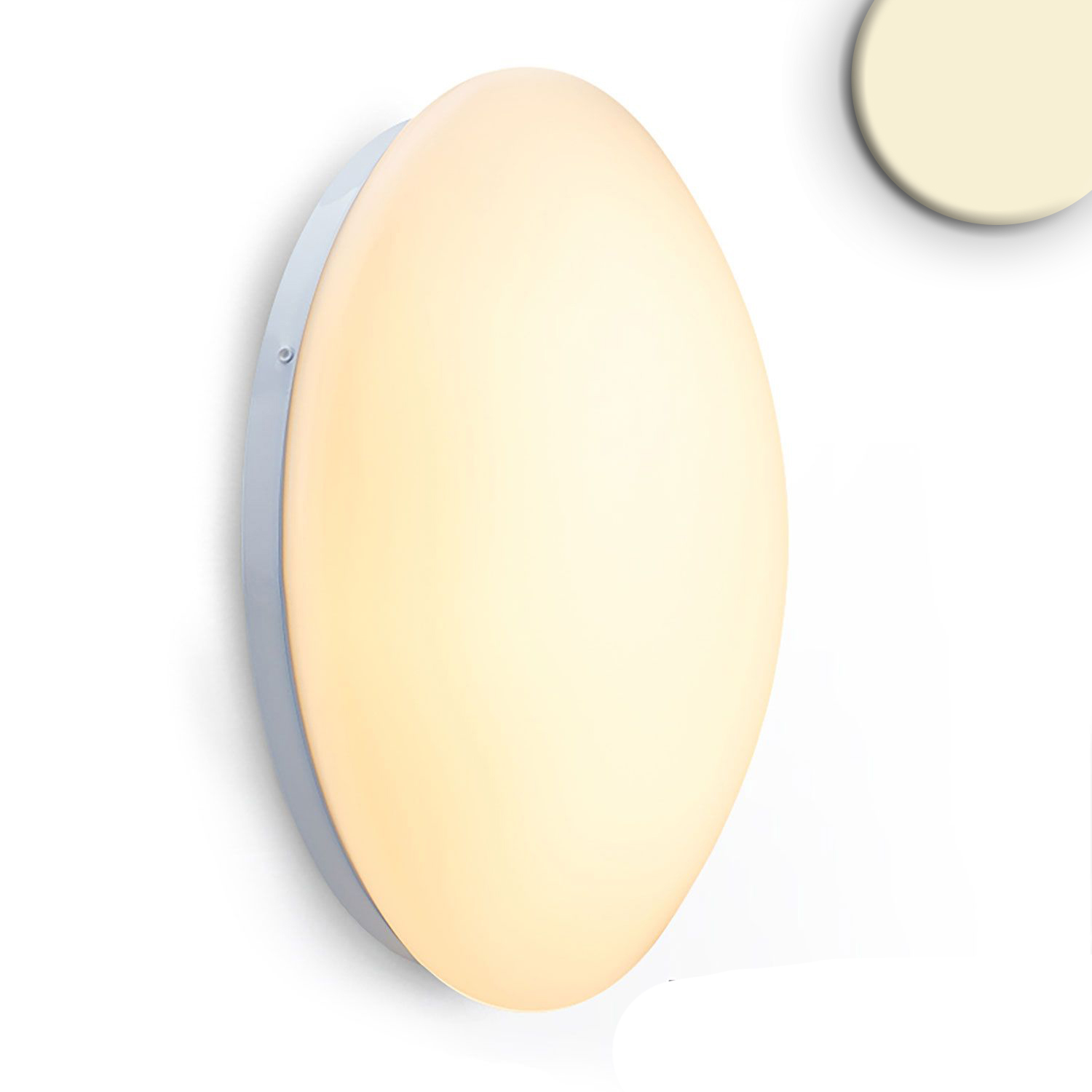 Plafonnier/applique LED 24W, blanc, IP54, blanc chaud