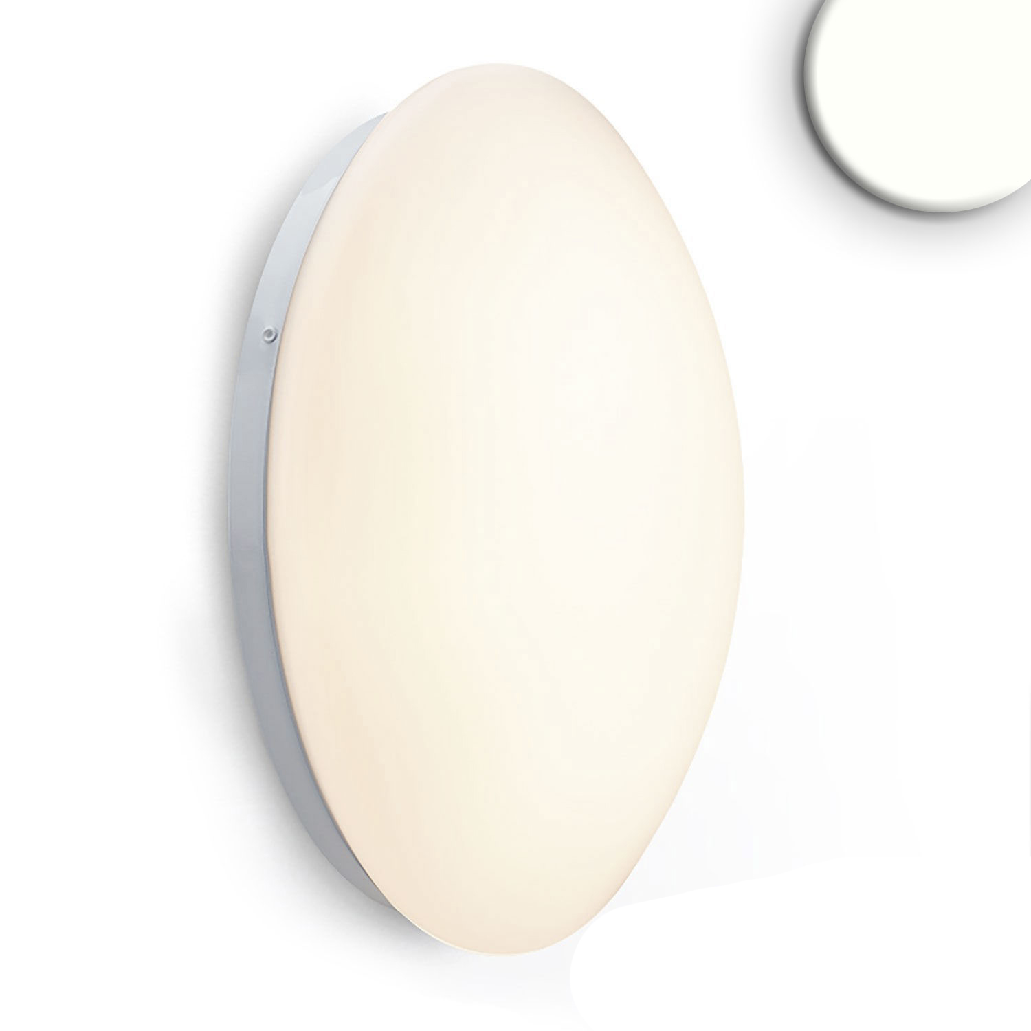 Plafonnier/applique LED 24W, blanc, IP54, blanc neutre